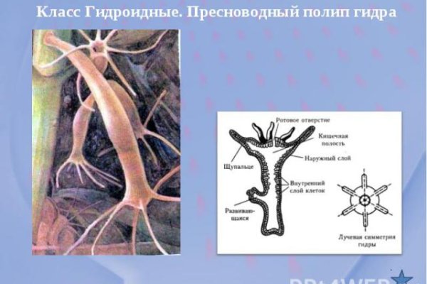 Как пополнить кошелек на кракене