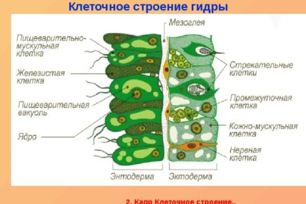 Кракен через тор