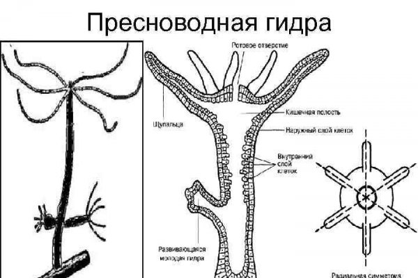 Даркнет сайт скачать