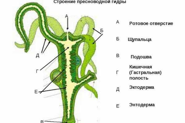 Кракен зеркало на сегодня