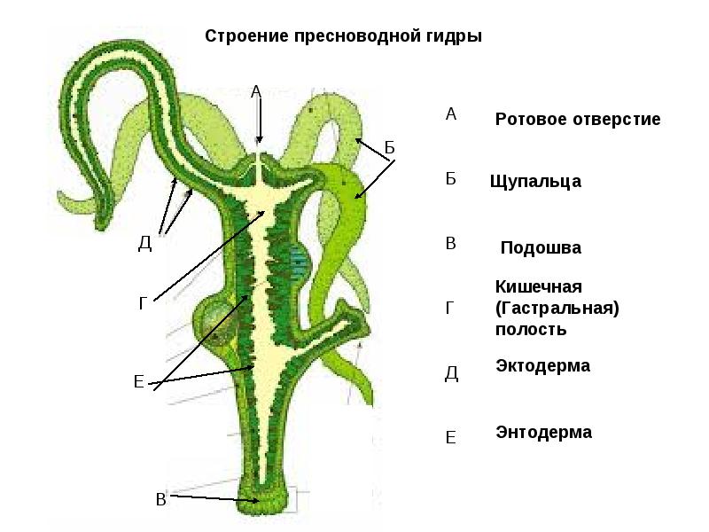 Сайт кракен kraken krakens15 at